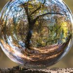 Valores EWP | Sustentabilidade Ambiental